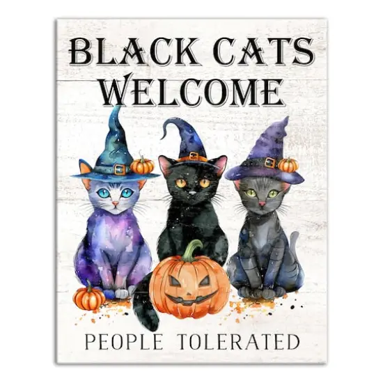 Black Cats Welcome 16" x 20" Canvas Wall Art {1}