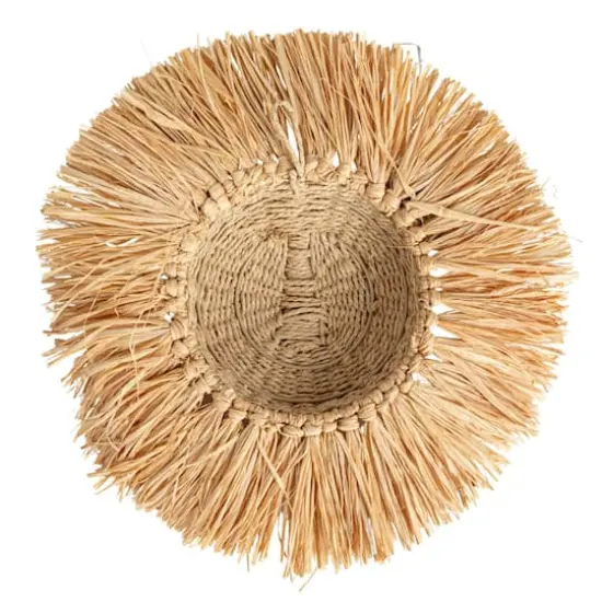 Hello Honey&reg; 16.5" Natural Savannah King Raffia Lion Wall Art {9}