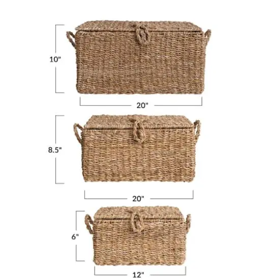 Hello Honey&reg; Natural Woven Seagrass Storage Trunk Set {4}