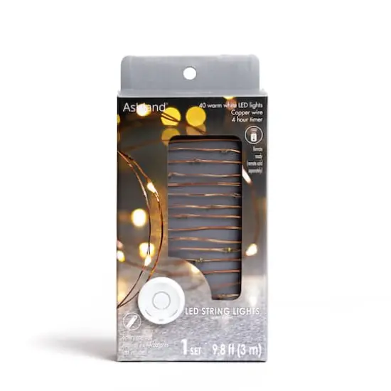 40ct. Warm White Copper Wire LED String Lights by Ashland® {1}