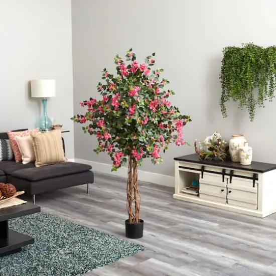 5.5ft. Potted Bougainvillea Tree {4}