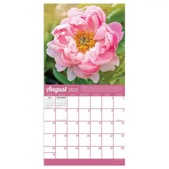 TF Publishing 2025 Flowers Mini Calendar {5}