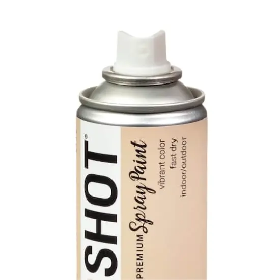 COLORSHOT&reg; Premium Satin Spray Paint Skinny Dip {6}
