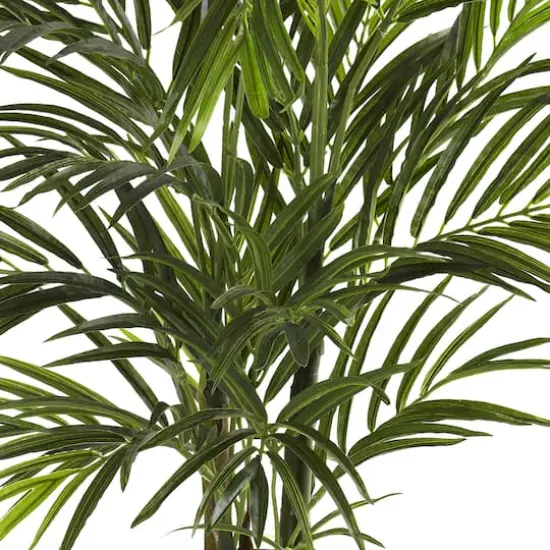 2.5ft. Potted Areca Palm {4}