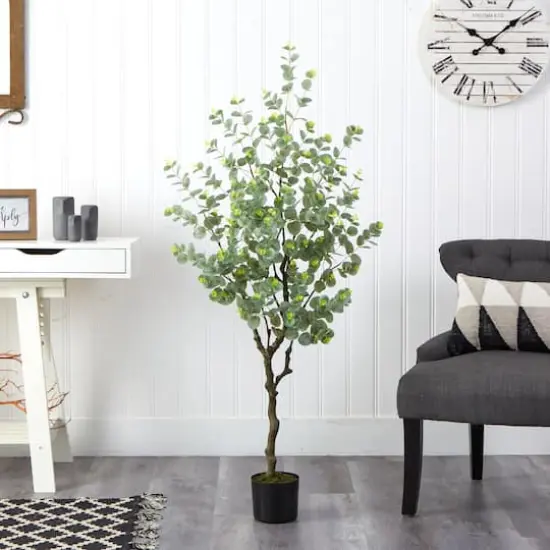 4.5ft. Potted Eucalyptus Tree {4}