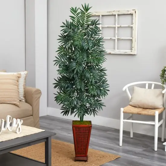 5.5ft. Bamboo Palm Plant in Decorative Planter {3}