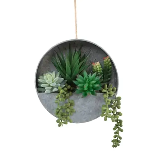Flora Bunda&reg; 8" Succulent in Hanging Wall Planter {1}