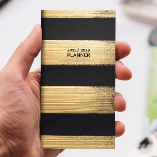 TF Publishing 2025 - 2026 Black & Gold Small Monthly Pocket Planner {3}