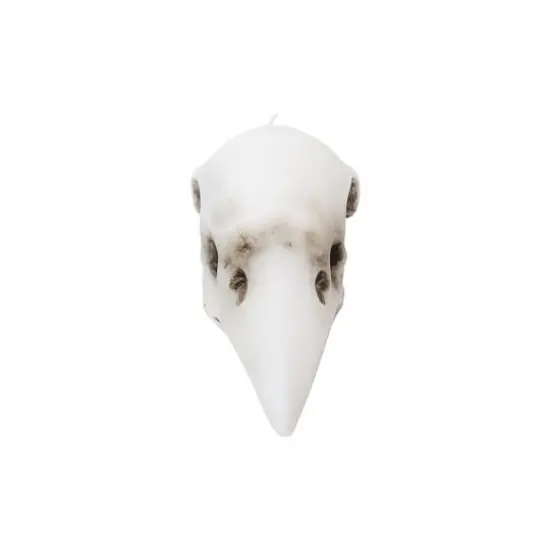 Crow Skull Shaped Candle by Ashland&reg; {4}
