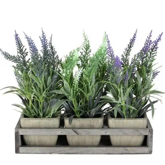 10.25" Lavender in Petite Planter with Distressed Wood Tray {1}