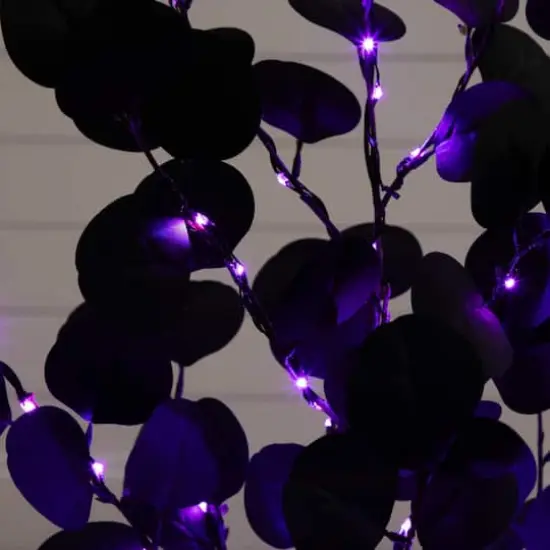 3ft. Pre-Lit Artificial Halloween Black Eucalyptus Tree with 80 Orange & Purple LED Lights {5}