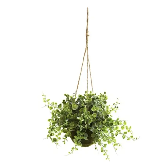 9'' Eucalyptus, Maiden Hair & Berry Hanging Basket, 3ct. {4}