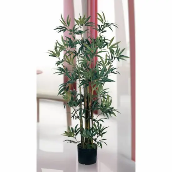 4ft. Potted Bamboo Plant {5}