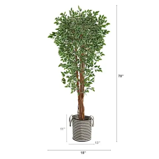 6ft. Variegated Ficus Tree in Handmade Black & White Natural Jute & Cotton Planter {4}