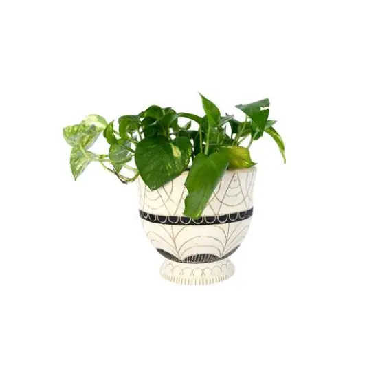Hello Honey&reg; 7" Debossed Terra Cotta Planter with Pedestal Base {6}