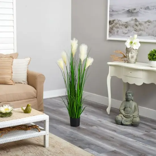 4ft. Potted Plume Grass Plant {5}