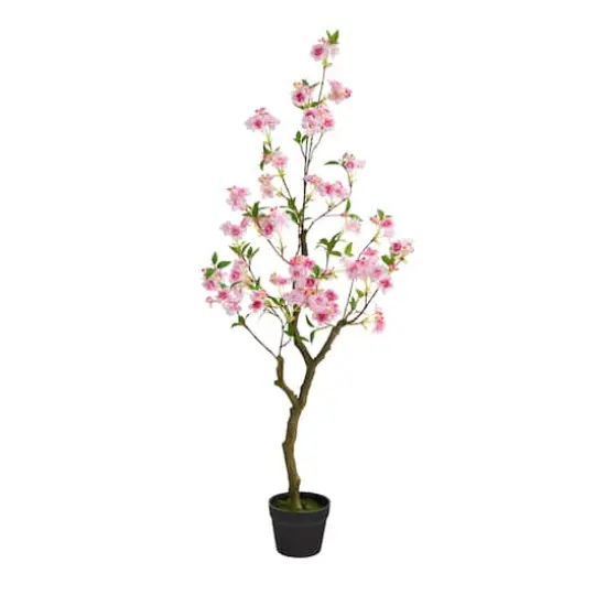 4ft. Potted Cherry Blossom {1}