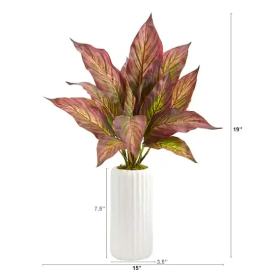 19" Musa Leaf Plant in White Planter {4}