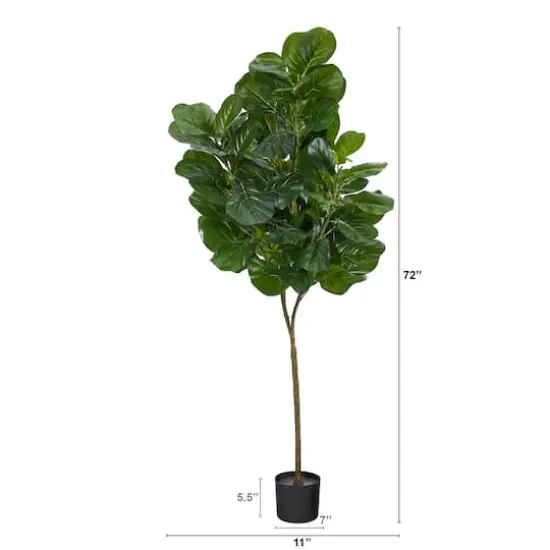 6ft. Potted Fiddle Leaf Fig Tree {3}