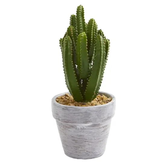8" Assorted Potted Cactus Plant, 3ct. {3}