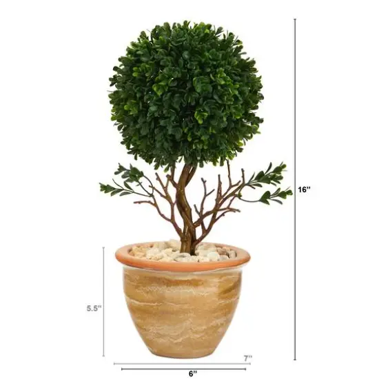 16" Boxwood Topiary Tree in Ceramic Planter {3}