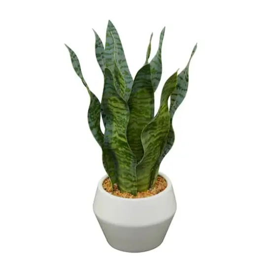 15" Green Snake Faux Foliage Artificial Plant with White Porcelain Pot {3}