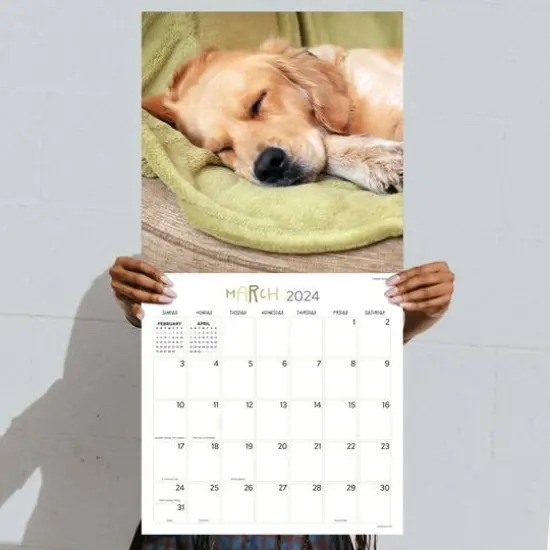 TF Publishing 2024 Dog Dreams Wall Calendar {6}