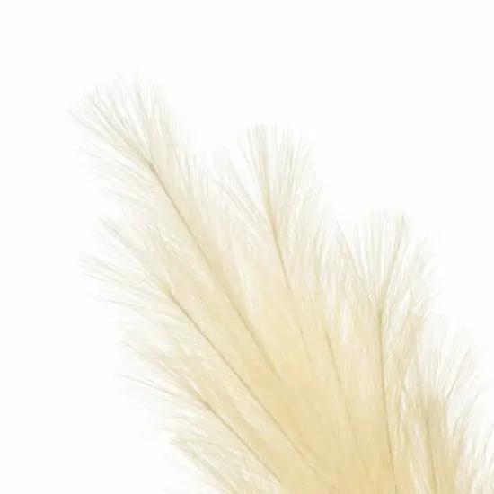 5ft. Cream Pampas Grass Stem by Ashland&reg; {3}