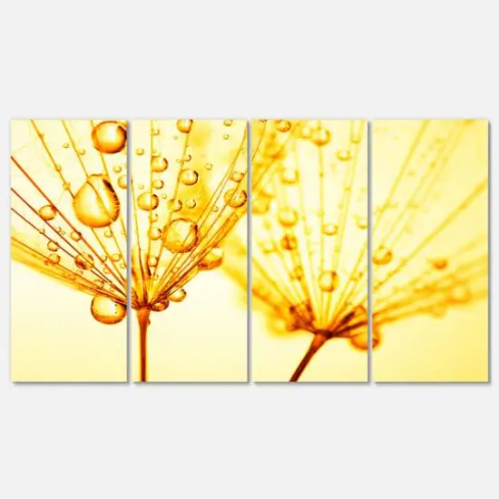 Designart - Dandelion Seeds with Water Drops - Floral Canvas Art Print {1}