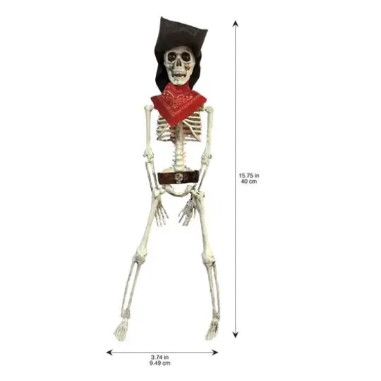 16" Pirate Skeleton by Ashland&reg; {4}