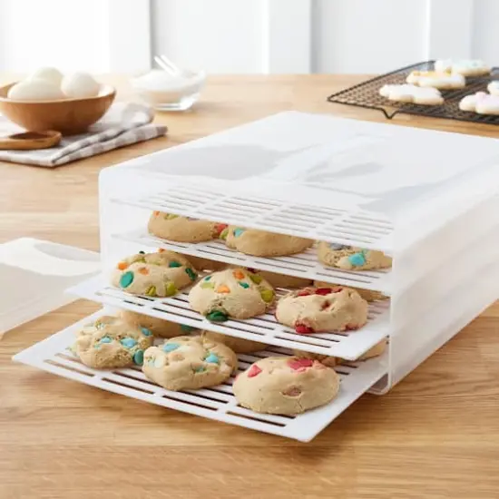 Treat Carrier by Celebrate It&trade; {3}