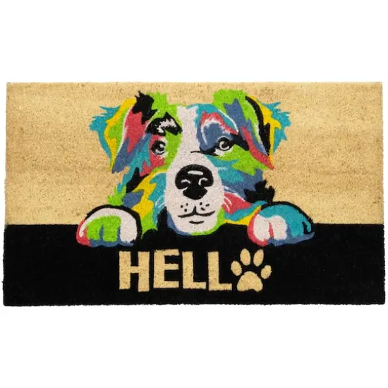 Multicolor Dog Hello Doormat {1}