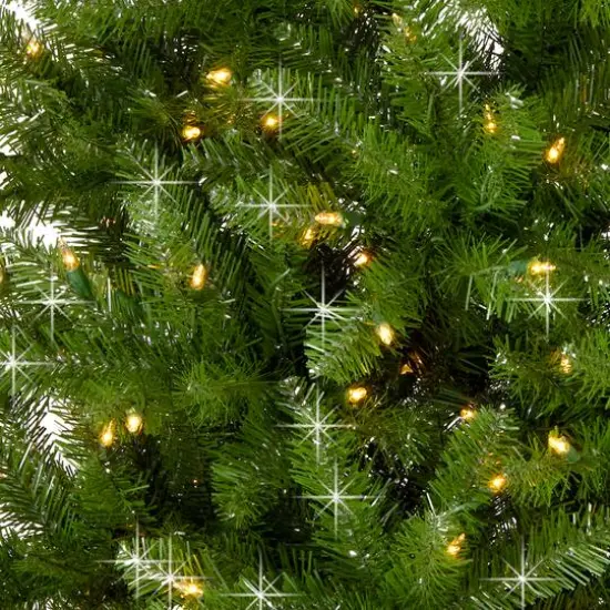7.5ft. Pre-Lit Dunhill Fir&reg; Shimmer Artificial Christmas Tree, Clear Lights {4}