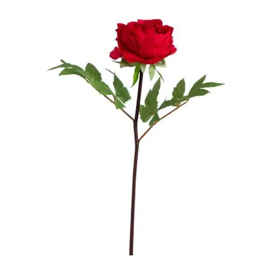 20" Red Peony Flower Stems, 3ct. {1}
