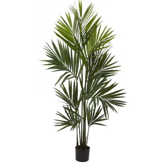 7ft. Potted Kentia Palm Silk Tree {1}