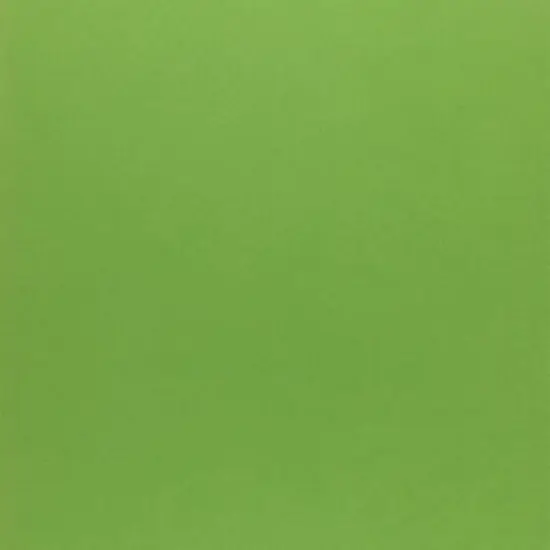 PA Paper&trade; Accents 12" x 12" 65lb. Cardstock, 25 Sheets Green Parrot {1}