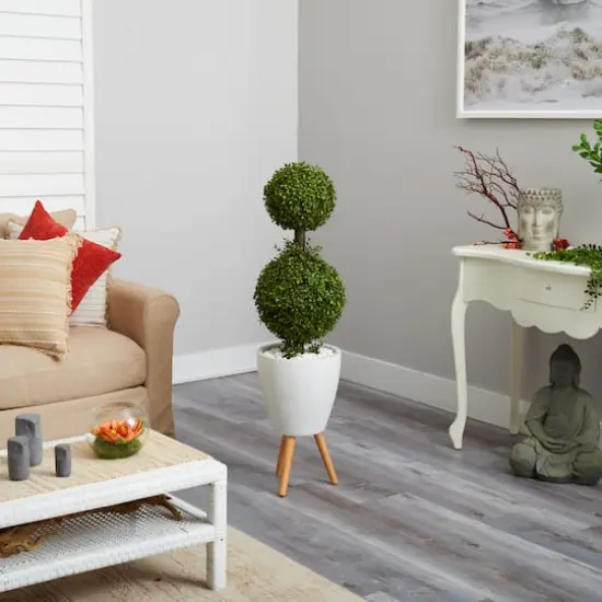 4ft. Double Boxwood Topiary Tree in White Planter with Stand {5}