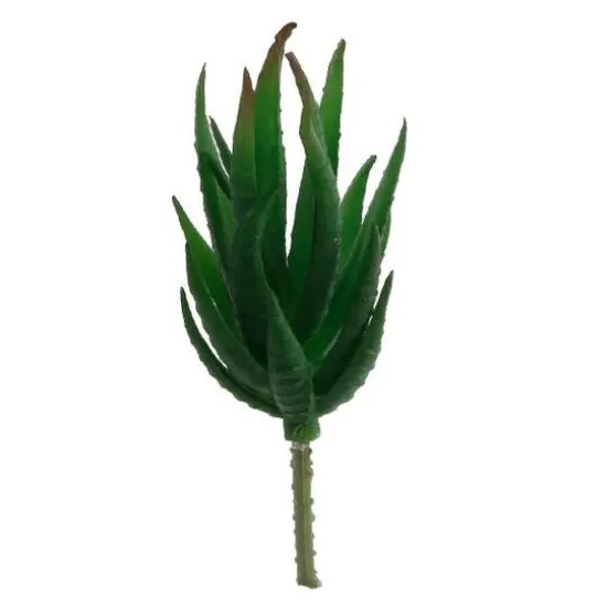 Flora Bunda&reg; Aloe Zebra Succulent Pick, 12ct. {1}
