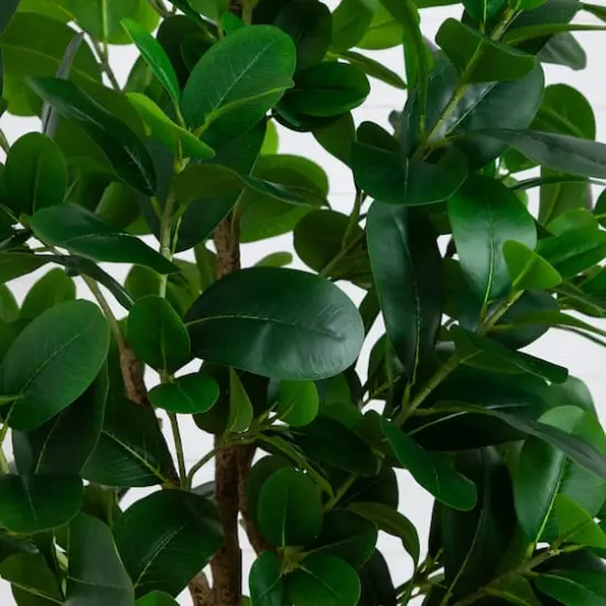 7ft. Artificial Audrey Ficus Tree {7}