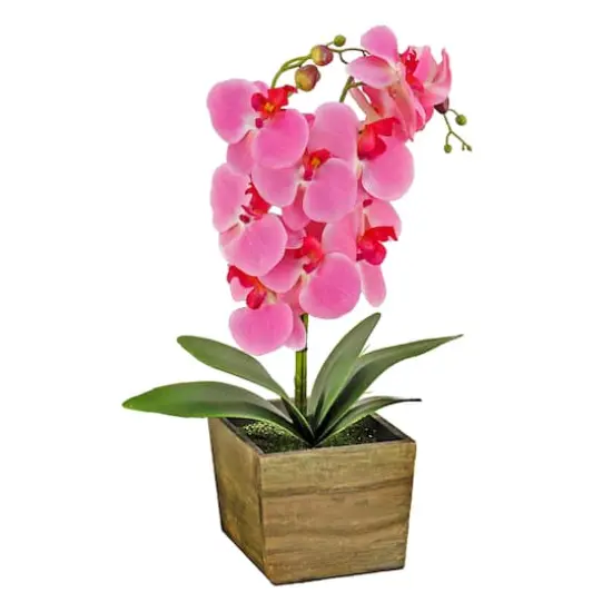 21" Orchid Flower In Wood Box Pink {1}