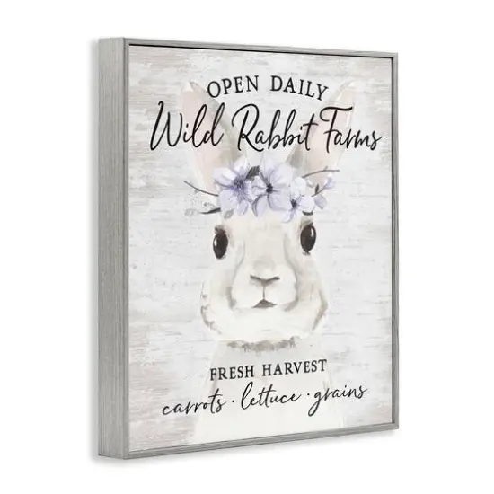 Stupell Industries Wild Rabbit Farms Weathered Floral Crown Sign Framed Giclee Art Gray {4}