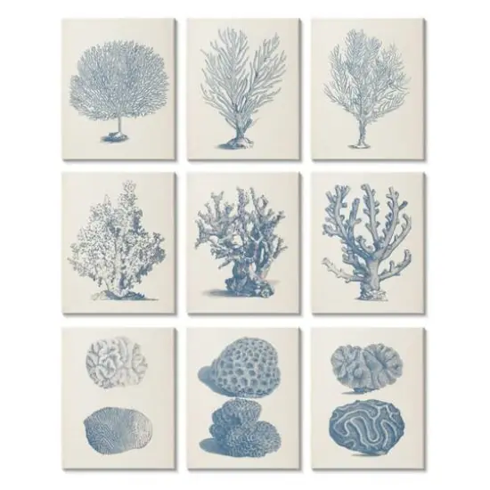 Stupell Industries Soft Blue Nautical Coral Illustrations over Beige,11' x 14" {1}