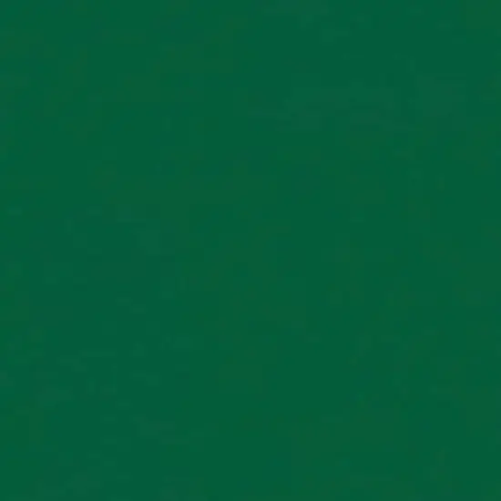 Rust-Oleum&reg; Painter's Touch&reg; 2X Ultra Cover&reg; Gloss Spray Paint Meadow Green {4}