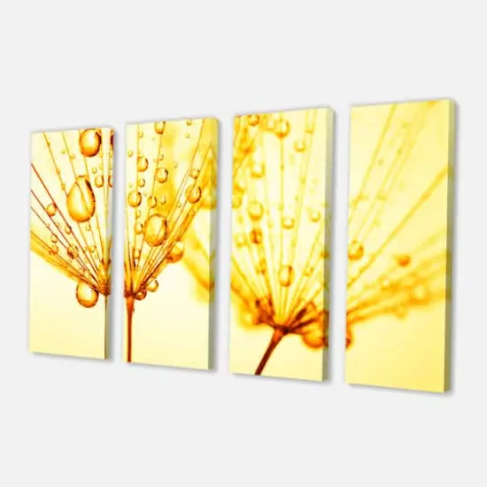 Designart - Dandelion Seeds with Water Drops - Floral Canvas Art Print {4}