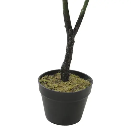 4 ft. Two-Tone Potted Wide Fiddle Leaf Floor Plant {4}