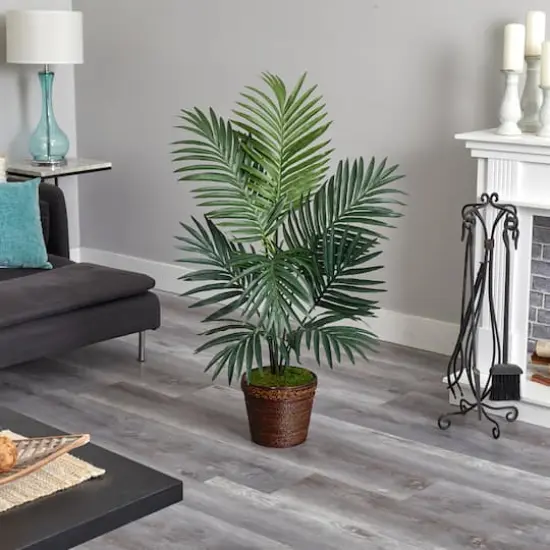 4ft. Kentia Palm Tree in Coiled Rope Planter {4}