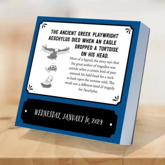 TF Publishing 2024 Insane But True Daily Desktop Calendar {4}