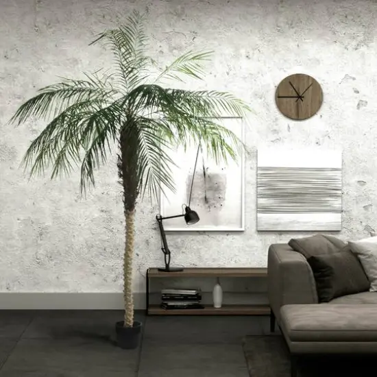 9ft. Potted Phoenix Palm Tree {8}