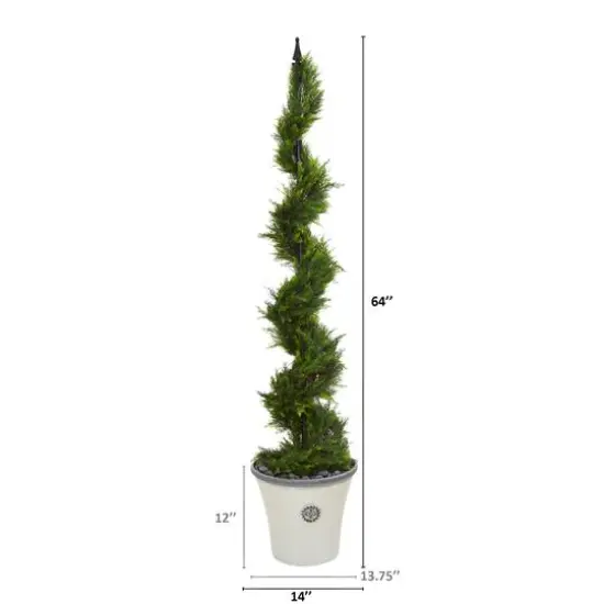 5.5ft. Cypress Spiral Tree in Decorative Planter {3}