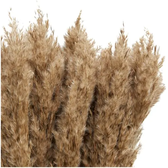 Dried Plant Pampas Natural Foliage with Long Stems Brown {5}